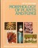 Book: Best Places to Stay in New England Christina Tree, Paperback