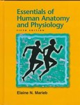 Essentials Of Human Anatomy & Physiology by Elaine N. Marieb (1997, Hardcover)