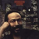 Marvin Gaye - Midnight Love (CD 1994)
