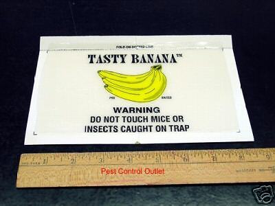 10 BANANA Scented Glue Boards for catching Mice Roachs Pantry Pest and 