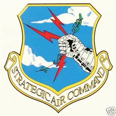 USAF AIR FORCE STRATEGIC AIR COMMAND SAC WINDOW DECAL  