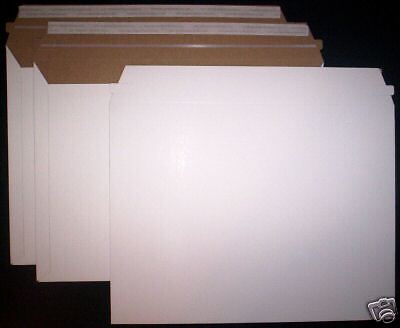 25 9.5 x 12.5 Cardboard Document Envelopes Mailers  