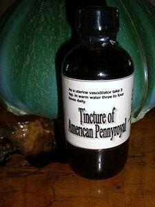 AMERICAN PENNYROYAL TINCTURE (Monardella odoratissim)  