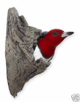 Red headed Woodpecker by Loon Lake Decoy Company  